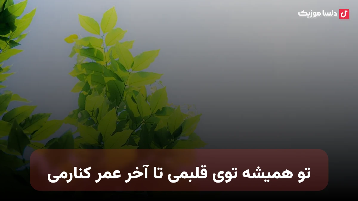 تو همیشه توی قلبمی تا آخر عمر کنارمی صدای زن